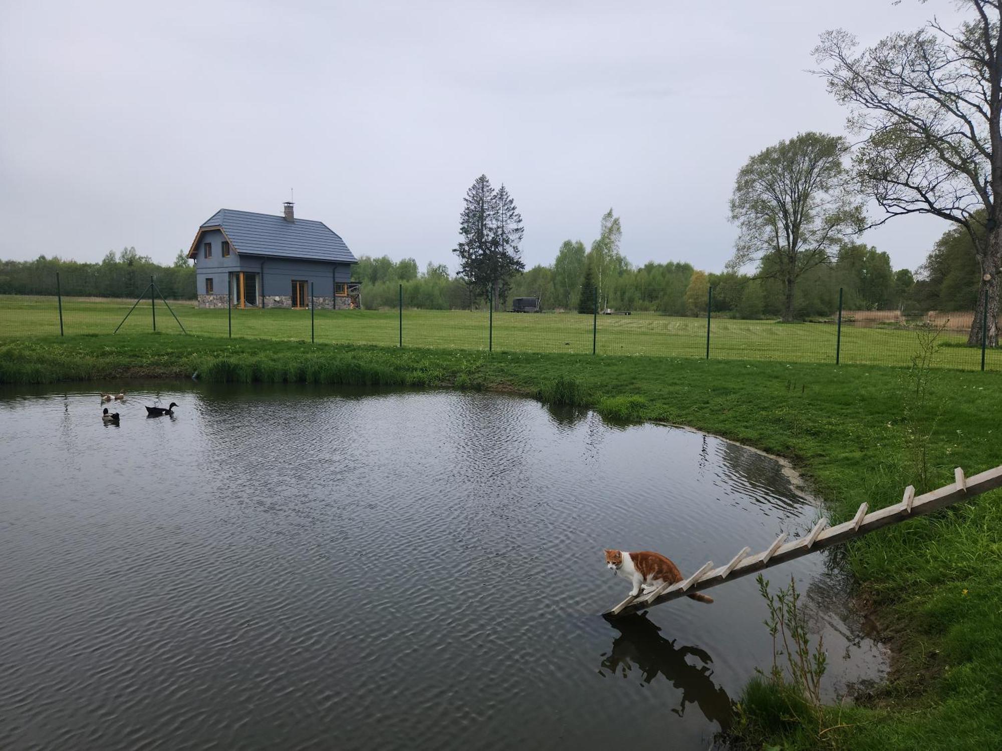 Stadelnieki Smaltani Kültér fotó